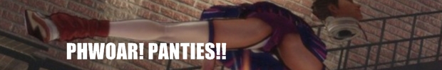 PHWOAR! PANTIES! FNAR!! LOOK AT THEM! PANTIES!!!!