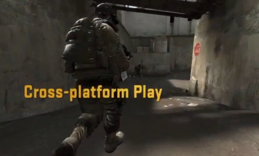 IT SAYS CROSS PLATFORM PLAY!
