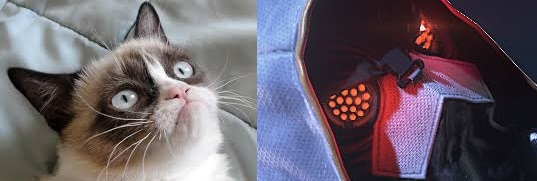grumpcat