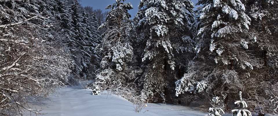 snow