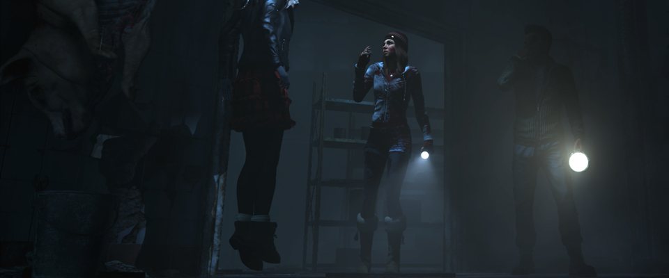 UntilDawn2014-IL3
