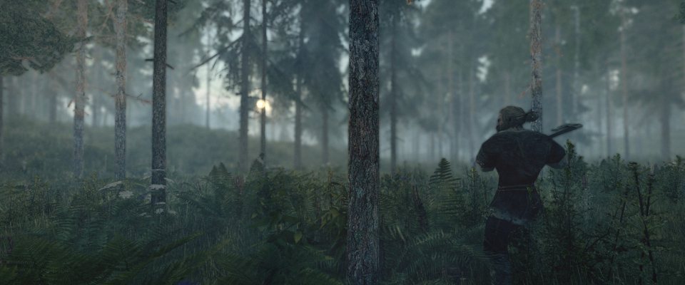 LIfeIsFeudal-IL1