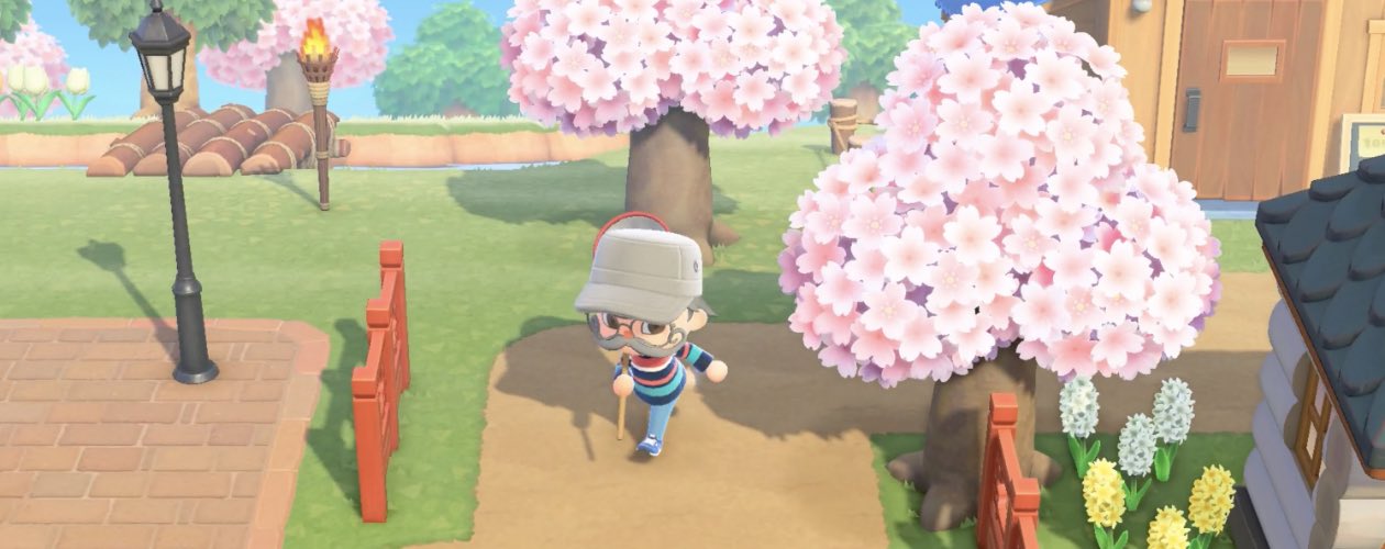 Animal Crossing New Horizons How To Get Cherry Blossom Thesixthaxis