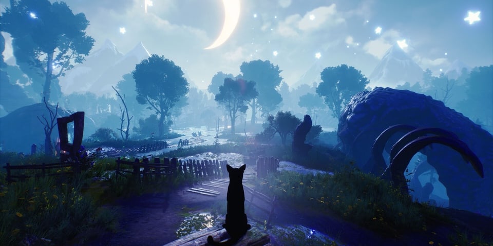 Blacktail nighttime survival