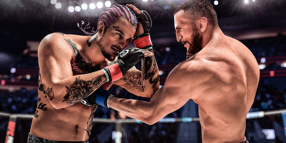 UFC 5 defence