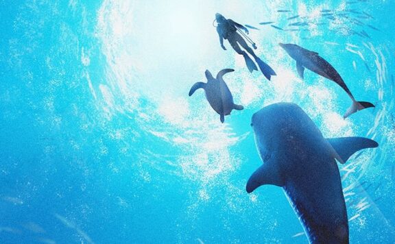 Endless Ocean Luminous header