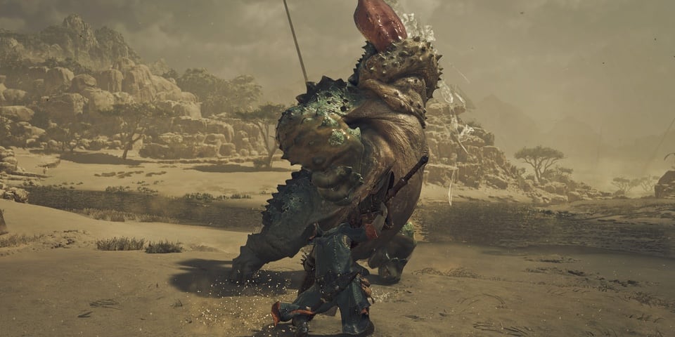 Monster Hunter Wilds Characabra combat