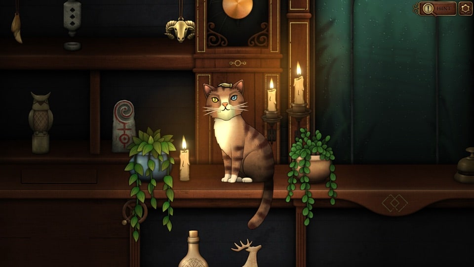 Strange Antiquities – petting Jupiter the cat