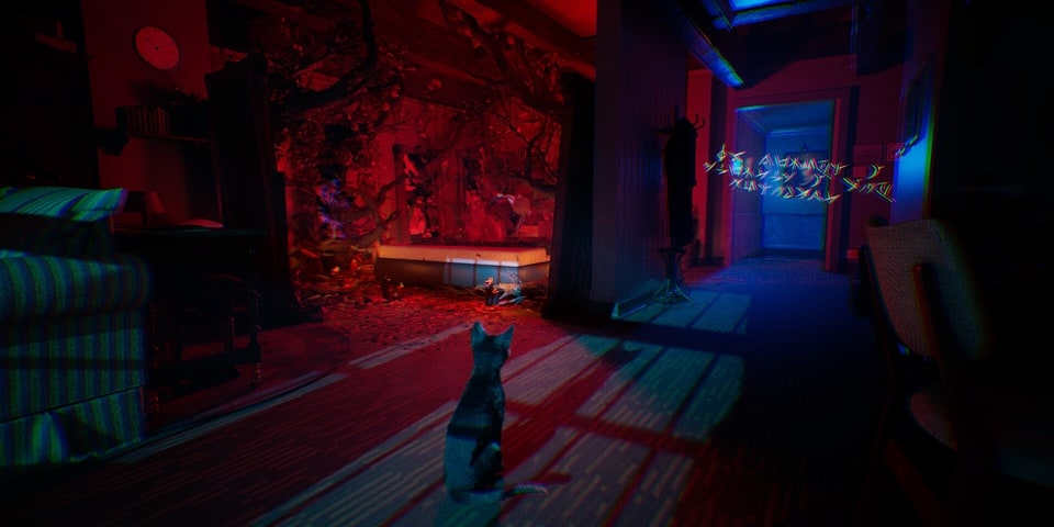1666 Amsterdam – Aaron is now a cat