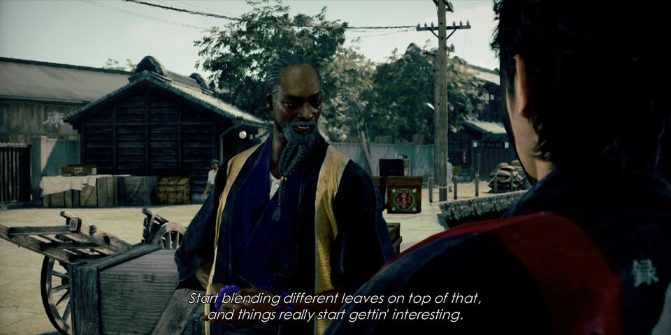 Stranger Than Heaven - Snoop roll ups